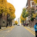 낙성대공원 이미지