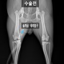 쥬만지동물의료센터 이미지