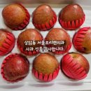 명품치과기공소 | 상암동서울프리벤치과🍏사과 선물 감사해요🍎