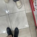 빌려 온 고양이같이