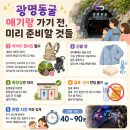 하안문화의집 생활문화창작실 | 광명동굴 애기랑 가기 전, 미리 준비할 것들