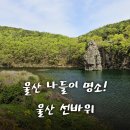 선바위 휴게소 | 울산 나들이 피크닉 명소 아이와 가볼만한곳, 선바위 휴게소 공원