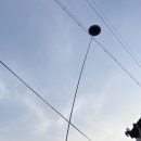 달모임 이미지