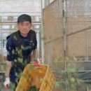 어부농장 이미지