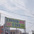 다모다 이미지
