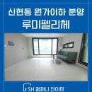 루미 컴퍼니 이미지
