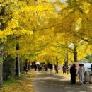 의동마을 이미지