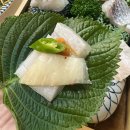 정동진횟집 - 연수구 옥련로 107 | 옥련동 횟집 대방어 맛집, 푸짐함 끝판왕 인천 정동진 횟집 방문 후기!