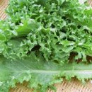 담아온건강 이미지