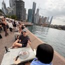 자판기나라 | [시드니여행] DJI 오즈모 포켓3 인천공항 대여 후기 / 렌탈자판기