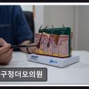 압구정더모의원