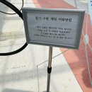 한동농장 | 목천 베리월드 | 천안아산 딸기체험,천안 싱싱한 딸기체험장, 딸기 무한으로 먹을 수 있는곳 다녀온 후기