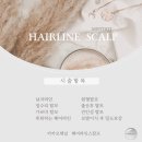 위너뷰티 이미지