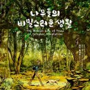 숲을향한시선 이미지