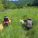 김중업건축박물관 이미지