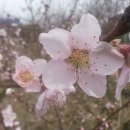 진등농장 이미지