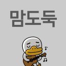 태권도사관학교효체육관 | 🥋 105회 전국체육대회 직관 후기 🥋
