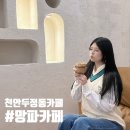 망파카페 이미지
