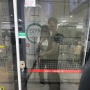 반월제일의원 | w. 임신 사전건강관리 지원 받는 루틴..