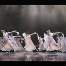 디자인쟈피