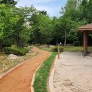 영덕레스피아 이미지