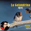 La Golondrina(제비) - Nana Mouskouri 이미지