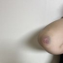 마이구미매점 이미지