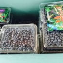 혁이농장 이미지