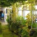 Greenfield 이미지