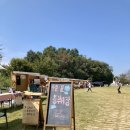 양강섬예술축제 이미지