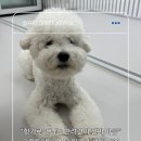 퍼스널 아로마 감정오일테라피 이미지