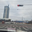 빈(BIN) 케익전문점 | 성심당 구매 후기 1 (2026년 2월, 케익부띠끄, 시루케익전문점, 주차, 임산부 혜택)