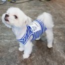 수분과열미용학원 이미지