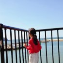 카페몰로 | 태안 카페 :) 모항항 카페몰로 내돈내산 방문 솔직후기/오션뷰카페 추천