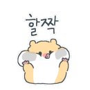510커피 이미지
