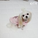 핑크슈가 이미지