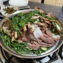 소나무집 이미지