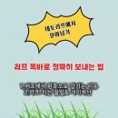 온그린 골프클럽 이미지
