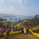 2024 청정완도 가을 섬여행 이미지