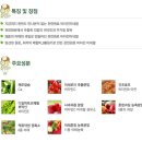 멀티푸드 이미지