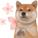 평택부자공인중개사사무소 이미지