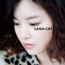 스마트캣 이미지