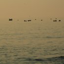 나로도바다 이미지