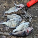 울도민박 이미지