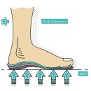 바이오오소틱 이미지