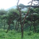 환희노래방 앞 이미지