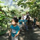 석호농장 이미지