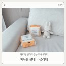 여우별 | 여우별 올데이 팬티형 생리대 후기｜편안한 착용감과 얇은 핏