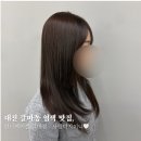 5546 | 대전 갈마동 인더에이블 미용실 추천, 사랑디자이너 염색 후기
