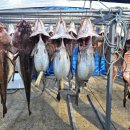 고현중앙로 이미지